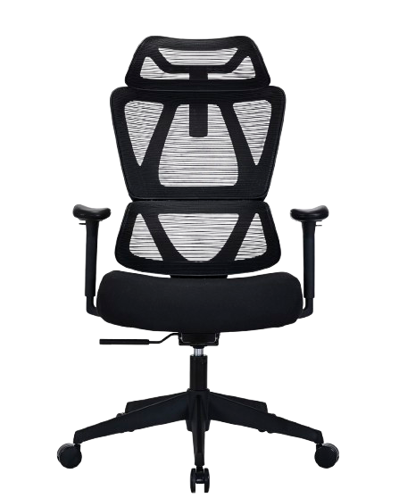 Ergo Collection